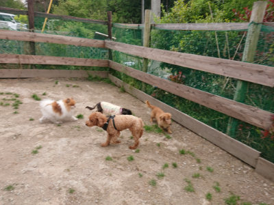 f:id:roukenhome-ann:20190509183837j:plain
