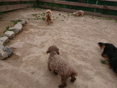 f:id:roukenhome-ann:20190509183846j:plain