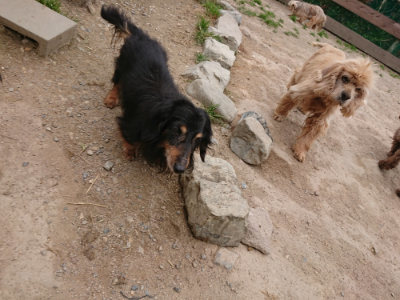 f:id:roukenhome-ann:20190509183855j:plain