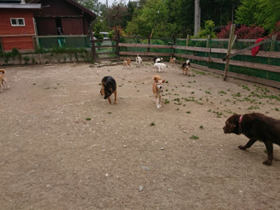 f:id:roukenhome-ann:20190509183911j:plain