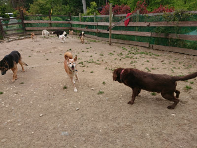 f:id:roukenhome-ann:20190509183929j:plain