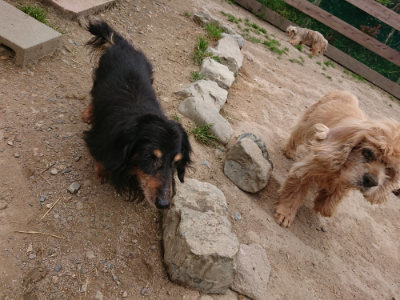 f:id:roukenhome-ann:20190509183943j:plain