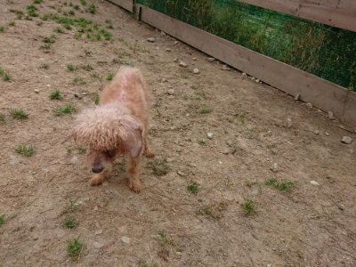f:id:roukenhome-ann:20190509184022j:plain