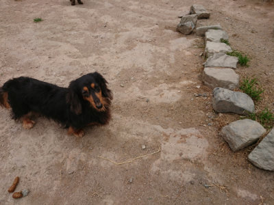 f:id:roukenhome-ann:20190509184519j:plain