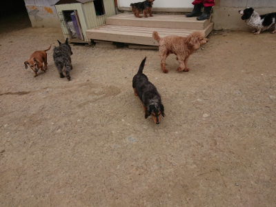 f:id:roukenhome-ann:20190509184535j:plain
