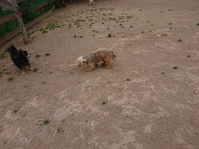 f:id:roukenhome-ann:20190509184552j:plain