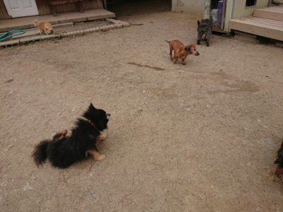 f:id:roukenhome-ann:20190509184558j:plain