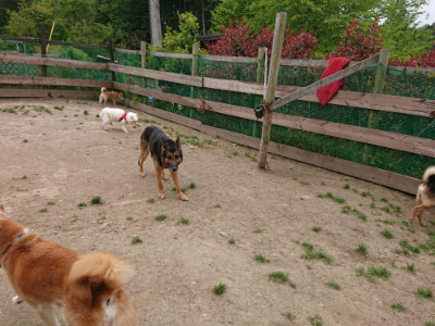 f:id:roukenhome-ann:20190509184604j:plain