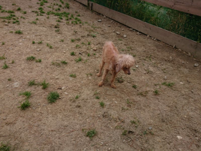 f:id:roukenhome-ann:20190509184610j:plain