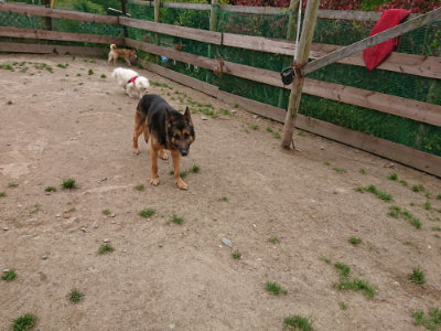 f:id:roukenhome-ann:20190509184621j:plain