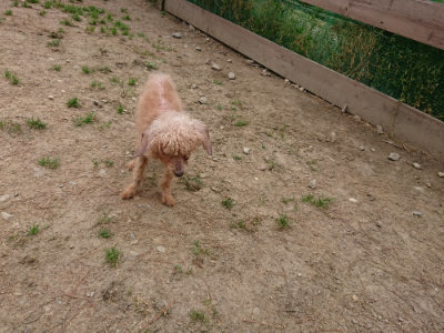 f:id:roukenhome-ann:20190509184626j:plain
