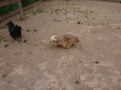 f:id:roukenhome-ann:20190509184631j:plain