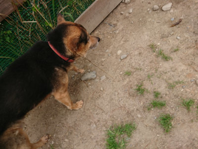 f:id:roukenhome-ann:20190509184636j:plain