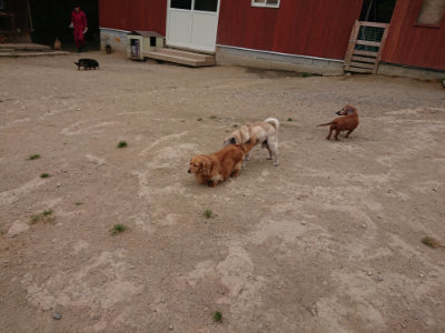 f:id:roukenhome-ann:20190509184646j:plain
