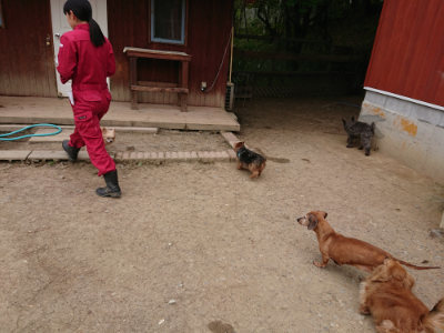 f:id:roukenhome-ann:20190509184701j:plain