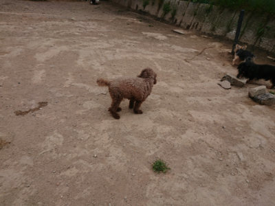 f:id:roukenhome-ann:20190509184711j:plain