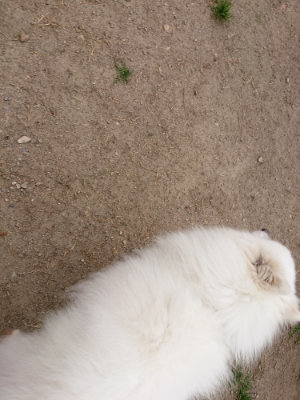 f:id:roukenhome-ann:20190509184721j:plain