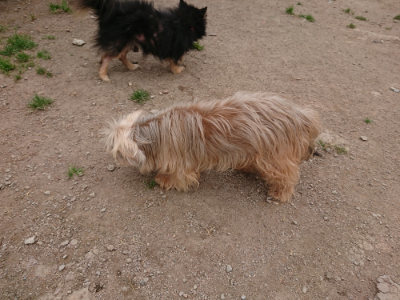 f:id:roukenhome-ann:20190509184734j:plain