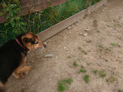 f:id:roukenhome-ann:20190509184739j:plain