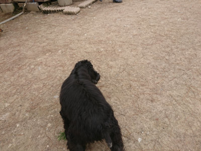 f:id:roukenhome-ann:20190509184809j:plain
