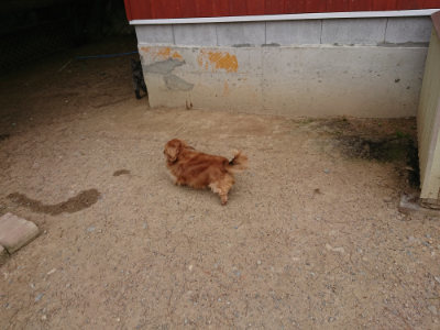 f:id:roukenhome-ann:20190509184826j:plain