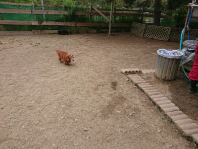 f:id:roukenhome-ann:20190509184840j:plain