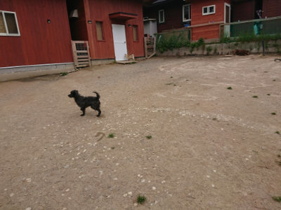 f:id:roukenhome-ann:20190509184850j:plain