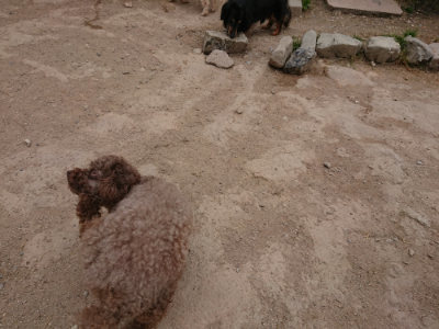 f:id:roukenhome-ann:20190509184856j:plain