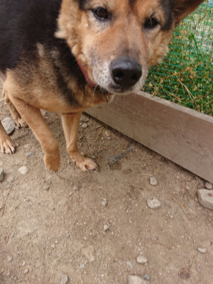 f:id:roukenhome-ann:20190509184902j:plain