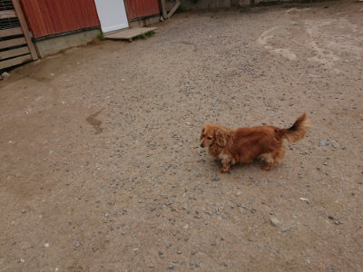 f:id:roukenhome-ann:20190509184913j:plain