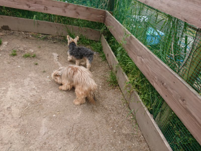 f:id:roukenhome-ann:20190509184928j:plain