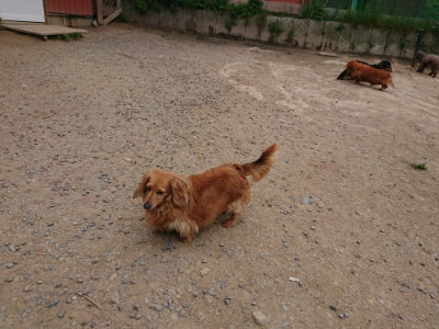 f:id:roukenhome-ann:20190509184936j:plain