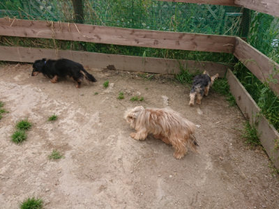 f:id:roukenhome-ann:20190509184946j:plain