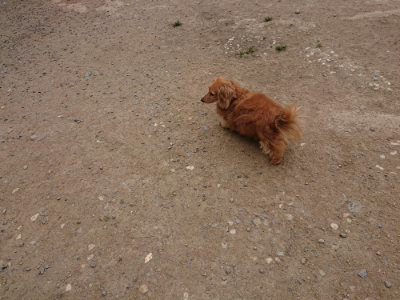 f:id:roukenhome-ann:20190509184951j:plain