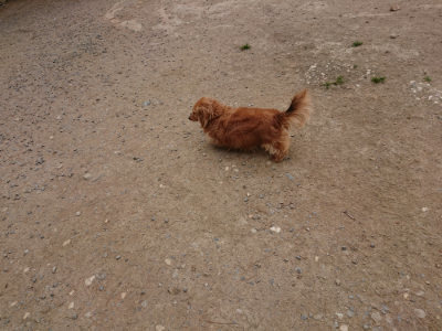 f:id:roukenhome-ann:20190509185009j:plain