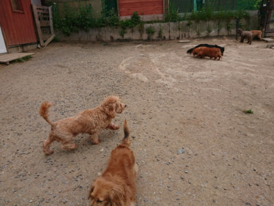 f:id:roukenhome-ann:20190509185031j:plain