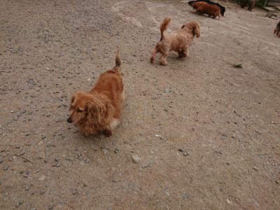 f:id:roukenhome-ann:20190509185045j:plain