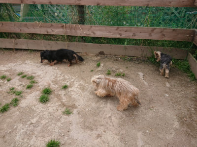 f:id:roukenhome-ann:20190509185056j:plain