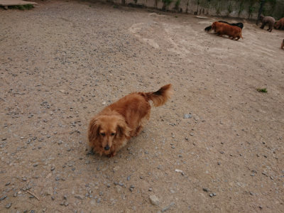 f:id:roukenhome-ann:20190509185102j:plain