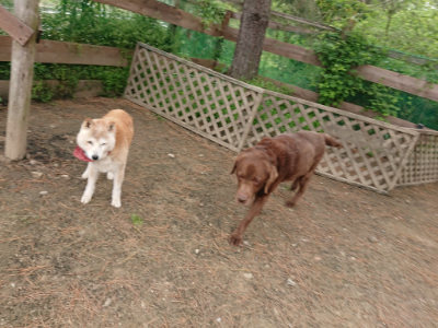 f:id:roukenhome-ann:20190509185107j:plain