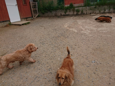 f:id:roukenhome-ann:20190509185125j:plain
