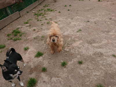 f:id:roukenhome-ann:20190509185135j:plain