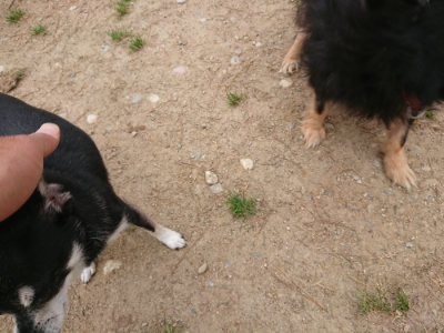 f:id:roukenhome-ann:20190509185226j:plain
