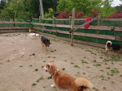 f:id:roukenhome-ann:20190509185251j:plain