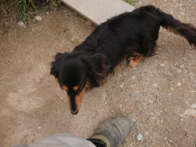 f:id:roukenhome-ann:20190509185256j:plain