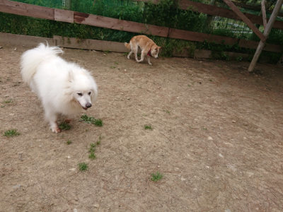 f:id:roukenhome-ann:20190509185305j:plain
