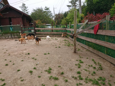 f:id:roukenhome-ann:20190509185314j:plain