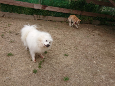 f:id:roukenhome-ann:20190509185331j:plain