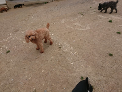 f:id:roukenhome-ann:20190509185343j:plain