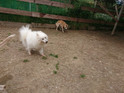 f:id:roukenhome-ann:20190509185353j:plain